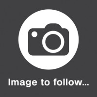 DVS3 Progressive controller