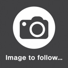 DVS3 Progressive controller